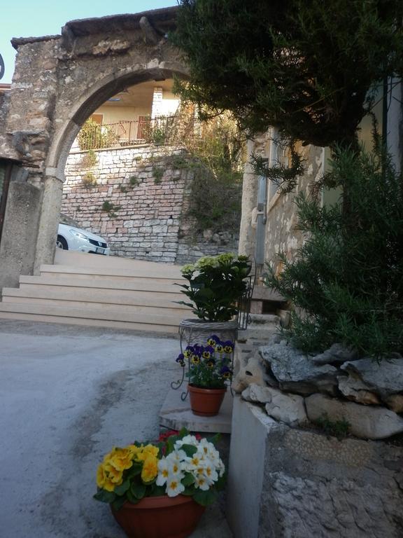 La Piccola Mimosa Apartment SantʼAmbrogio di Valpolicella Exterior foto