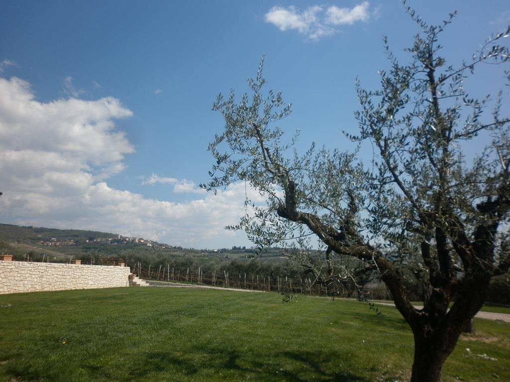 La Piccola Mimosa Apartment SantʼAmbrogio di Valpolicella Exterior foto
