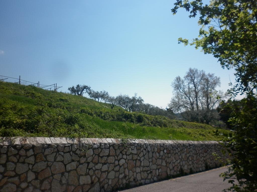 La Piccola Mimosa Apartment SantʼAmbrogio di Valpolicella Exterior foto